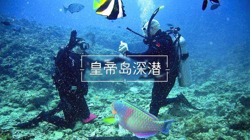 尼尔机械纪元